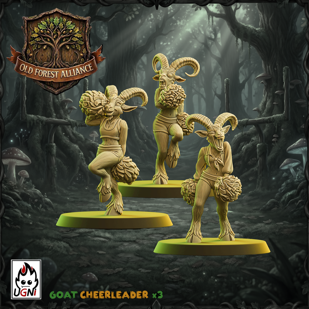 Old Forest Alliance Fantasy Football Team Cheerleaders