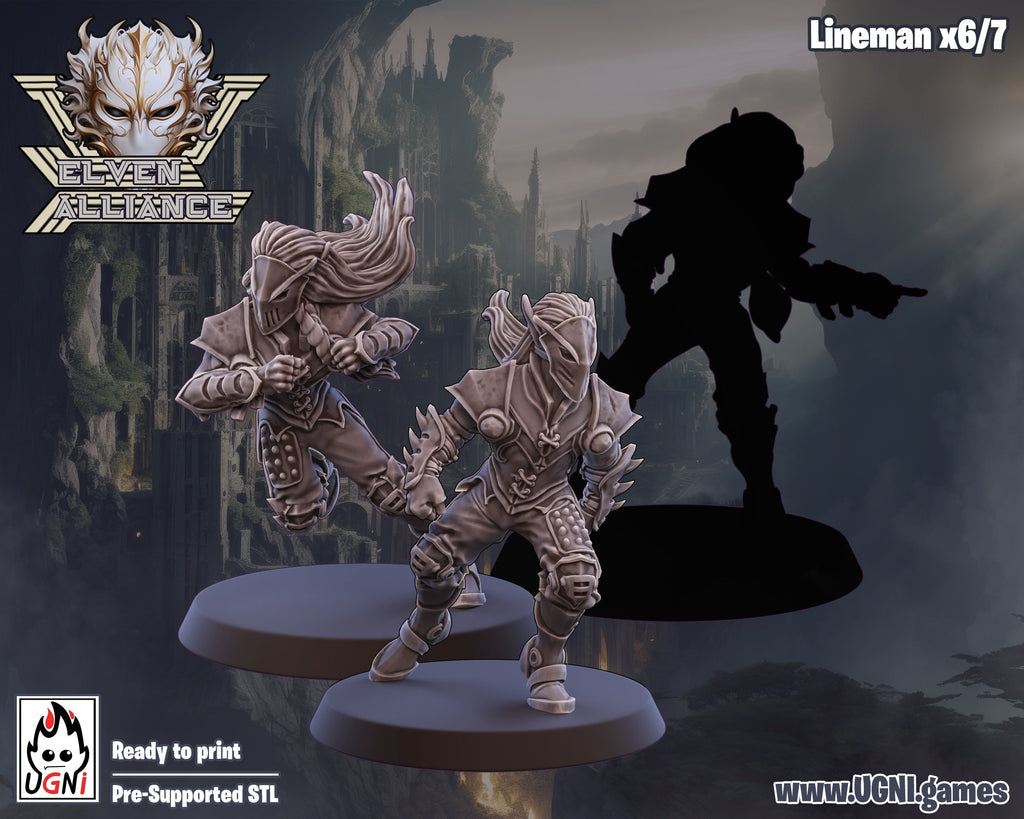 Elven Alliance Fantasy Football Team