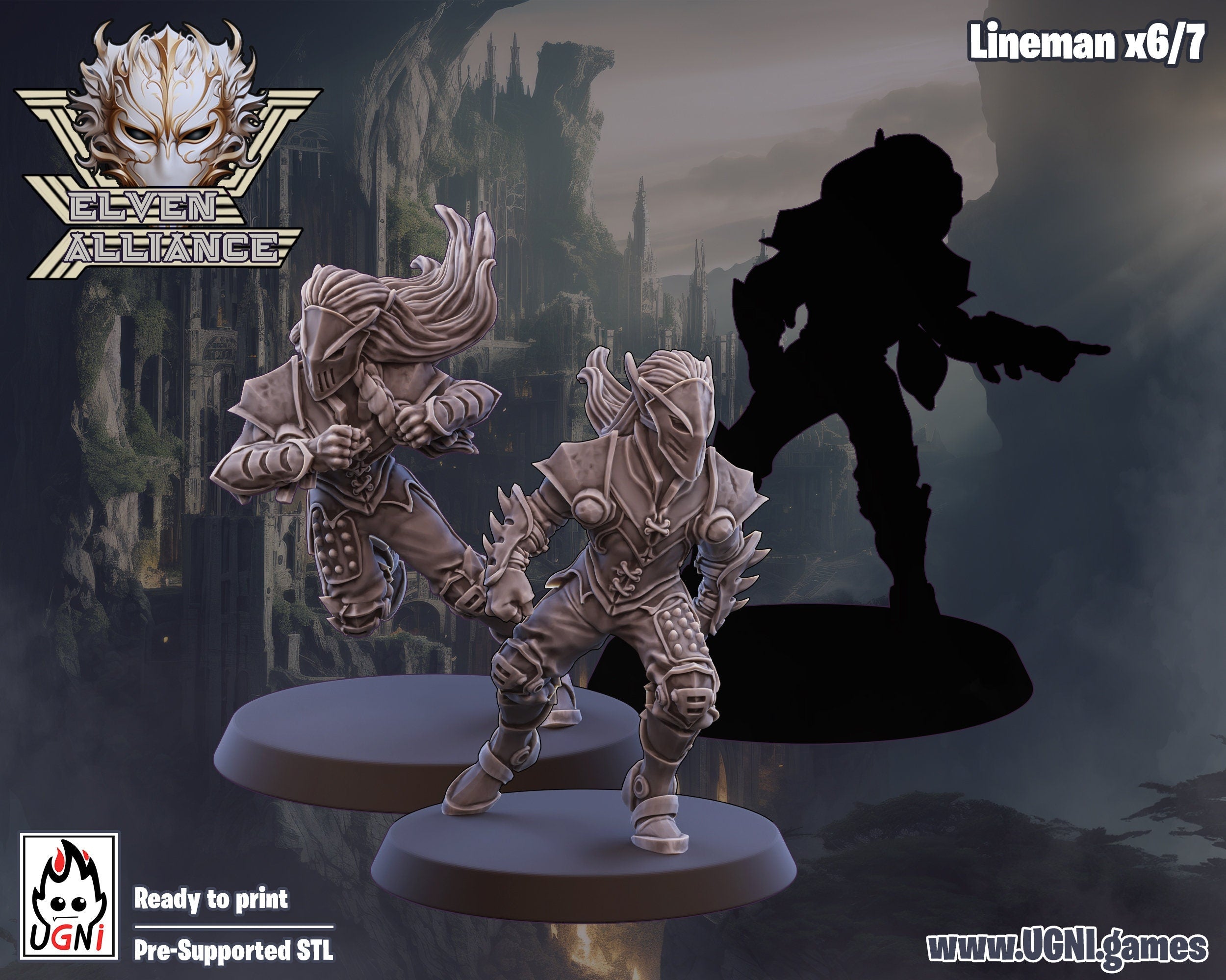 Elven Alliance Fantasy Football Team