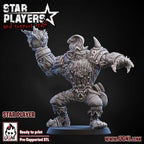 Norse Fantasy Football Team Booster Pack Two