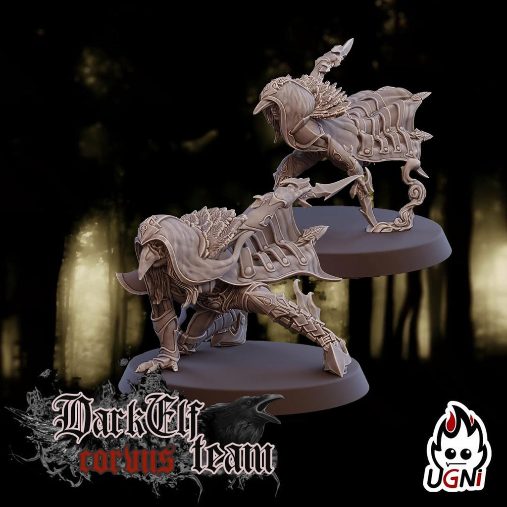 Dark Elf Fantasy Football Team Assassins