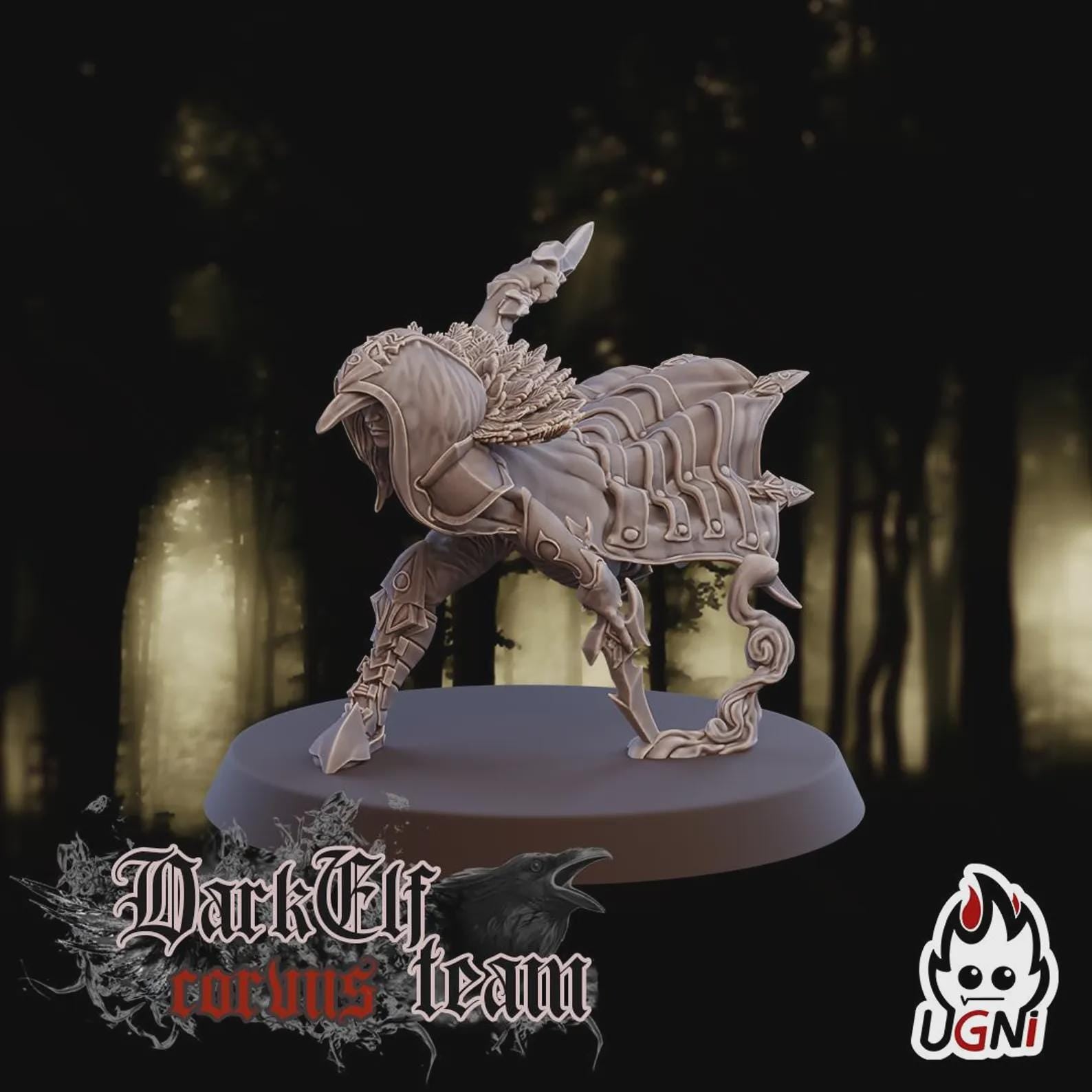 Dark Elf Fantasy Football Team Assassins