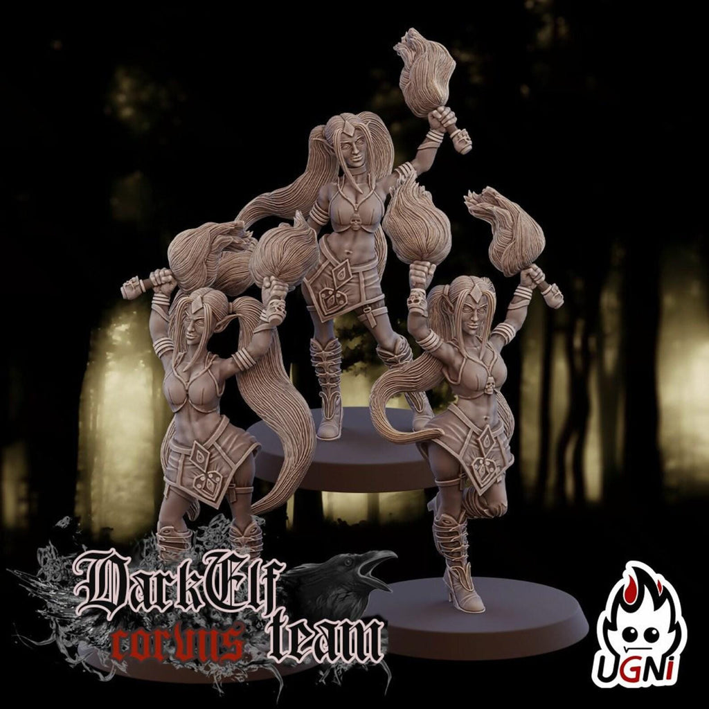 Dark Elf Fantasy Football Team Cheerleaders and Support Crew