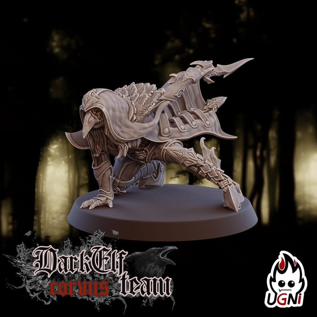 Dark Elf Fantasy Football Team Assassins