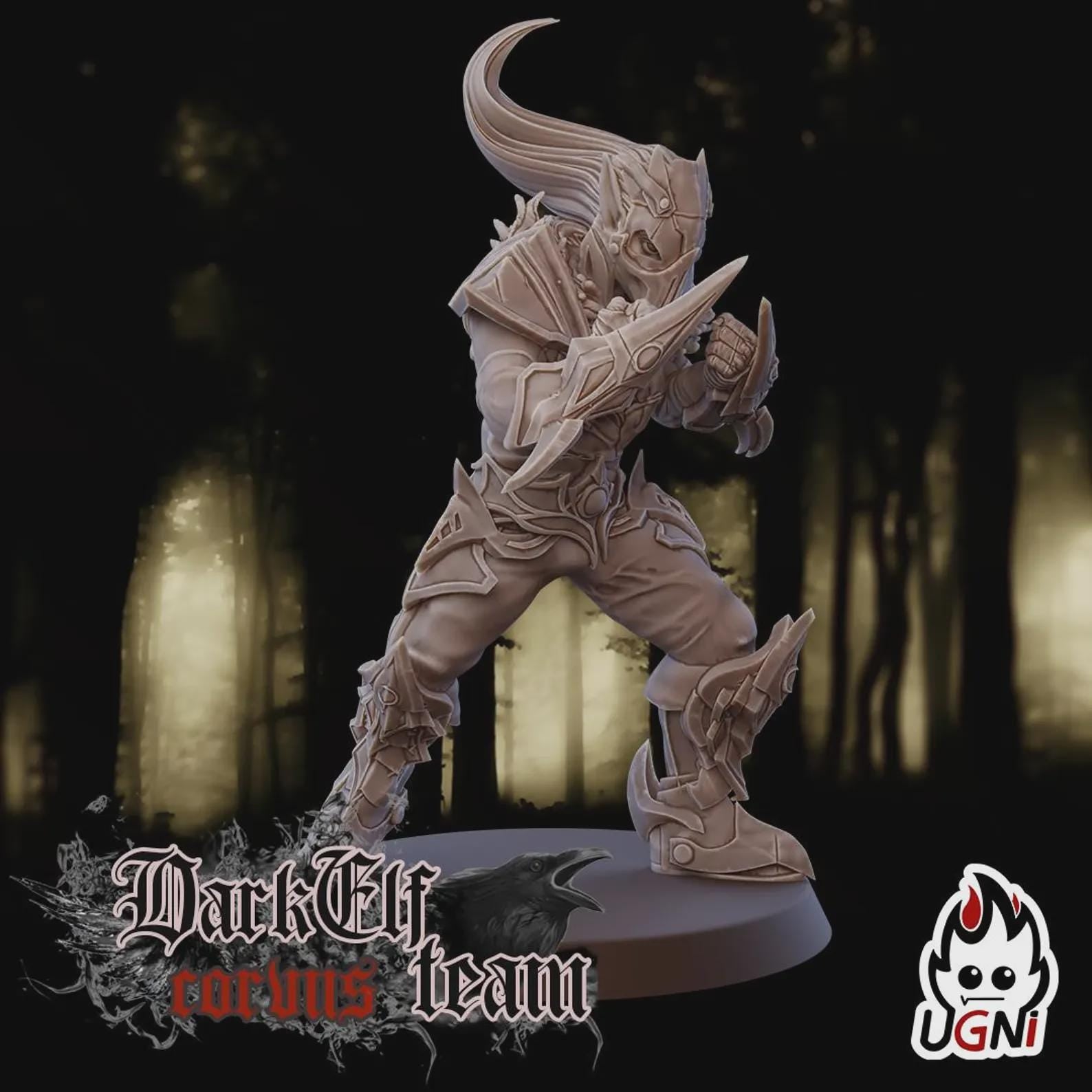 Dark Elf Fantasy Football Team