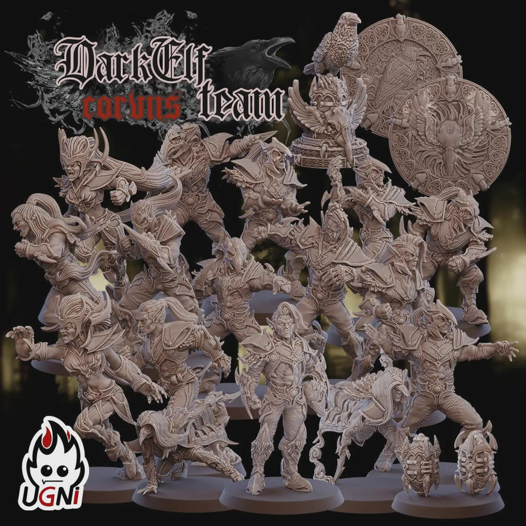 Dark Elf Fantasy Football Team