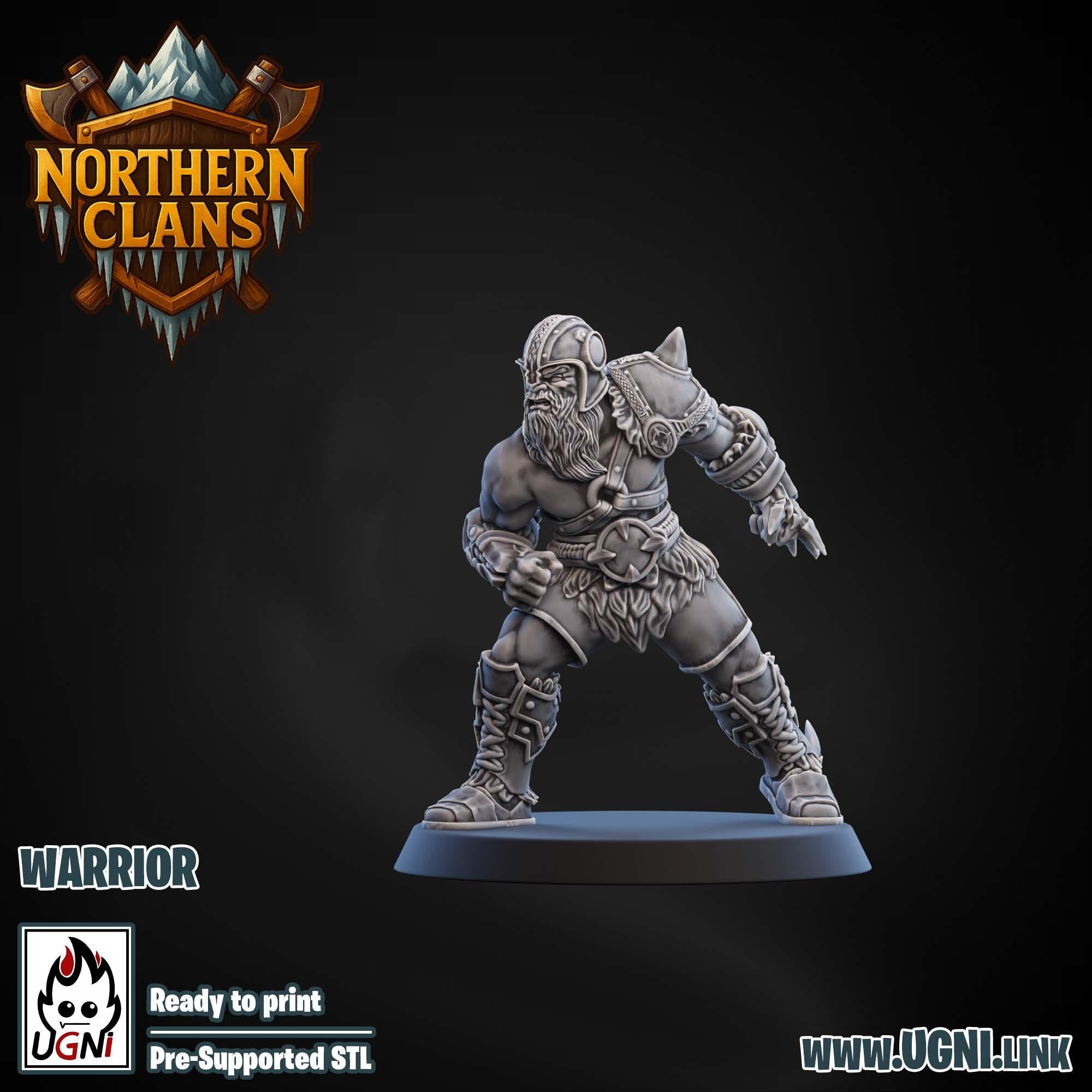 Norse Fantasy Football Team Warriors