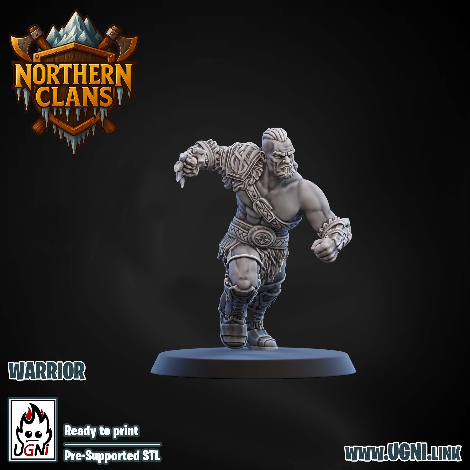 Norse Fantasy Football Team Warriors