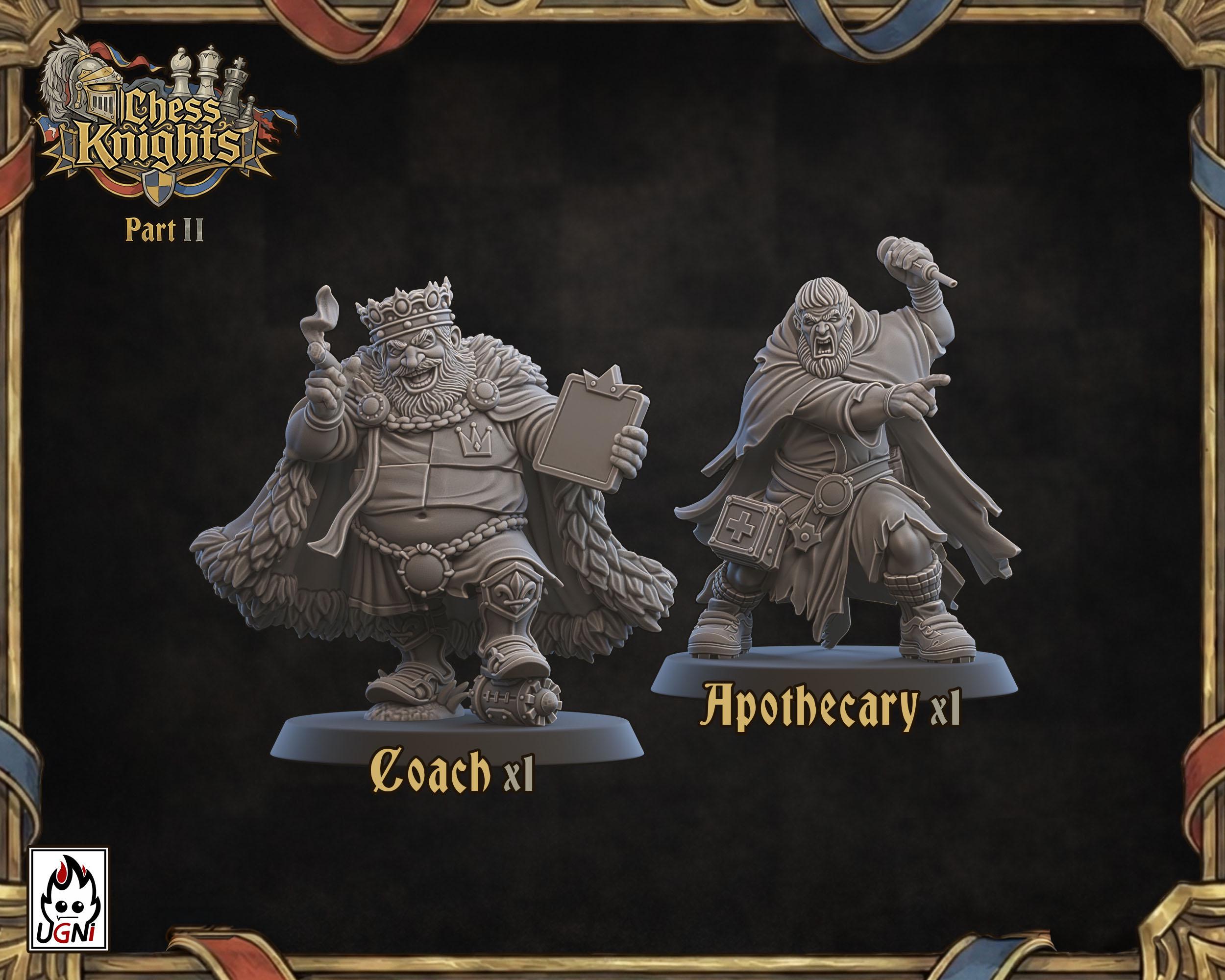 Chess Knights Fantasy Football Team Jesters and Support Crew