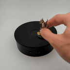360Wizard 32mm Slot Video Cover Image