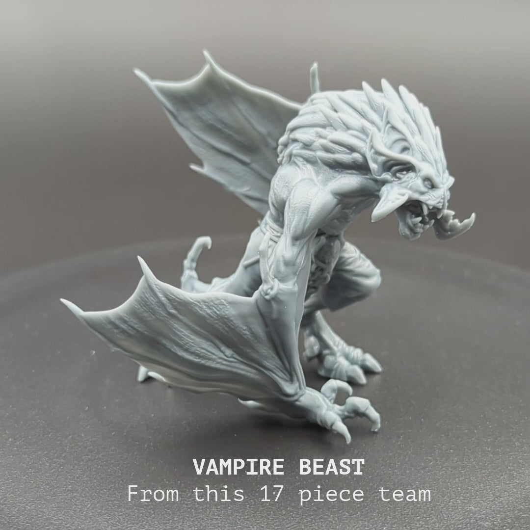Vampires Fantasy Football Team